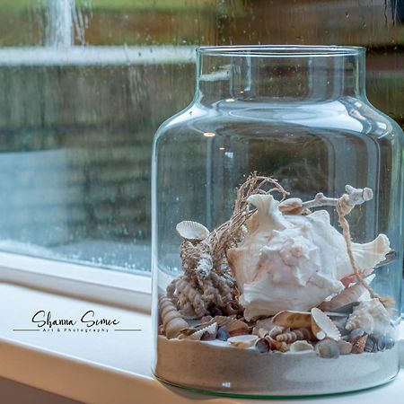 Carpe Diem Egmond Aan Zee By Urban Home Stay Exteriér fotografie