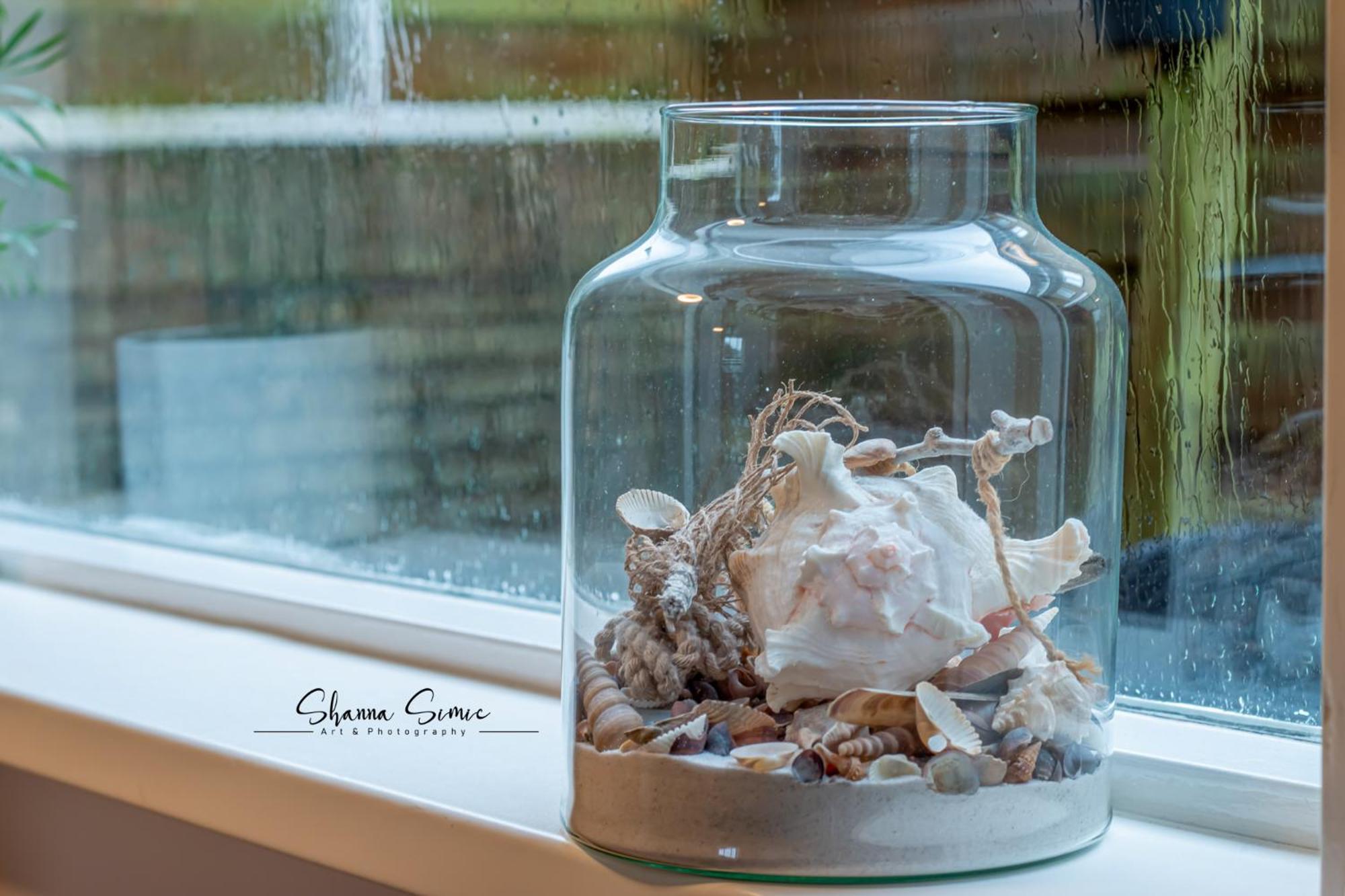 Carpe Diem Egmond Aan Zee By Urban Home Stay Exteriér fotografie
